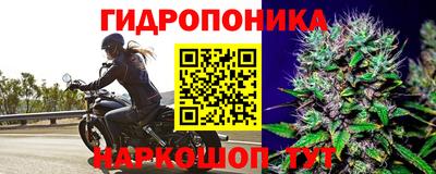 МДПВ Севастополь