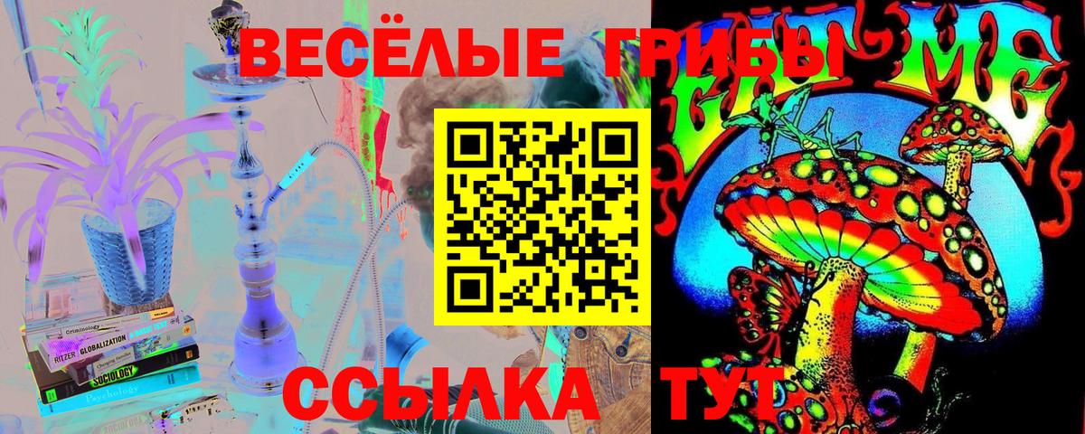 Псилоцибиновые грибы мицелий Светлоград
