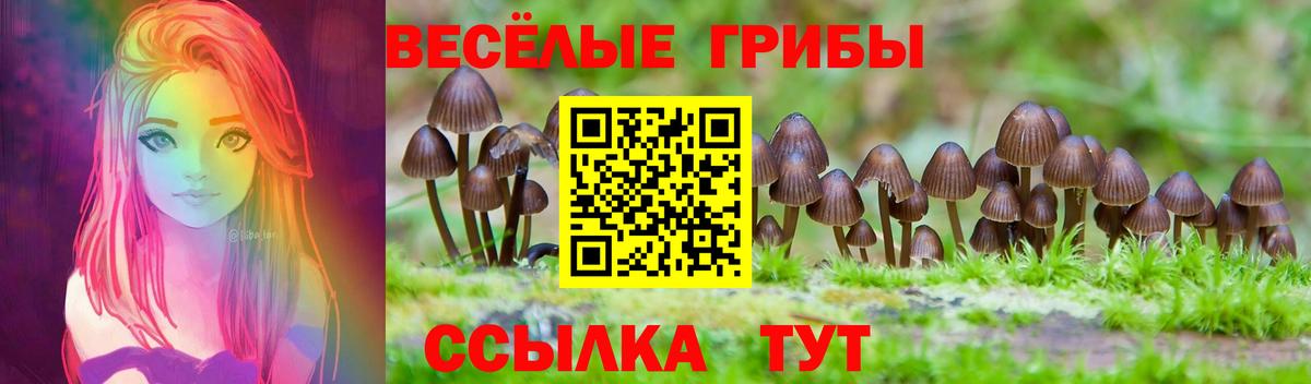 где купить наркоту  Вход с VPN  Псилоцибиновые грибы мицелий  Светлоград  Галлюциногенные грибы Psilocybine cubensis 